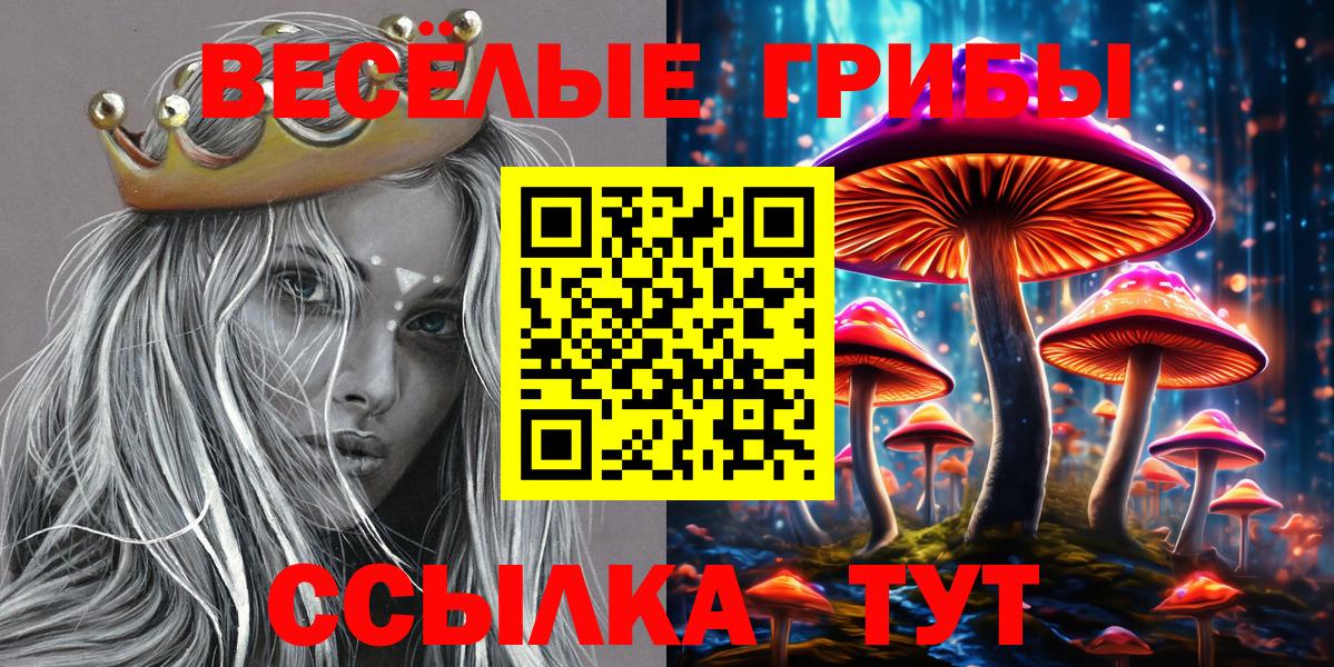 Галлюциногенные грибы GOLDEN TEACHER  Галлюциногенные грибы мицелий  Киселёвск  Вход с VPN 